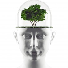 The Magic of Mindset